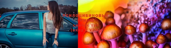 MESCALINE Алзамай